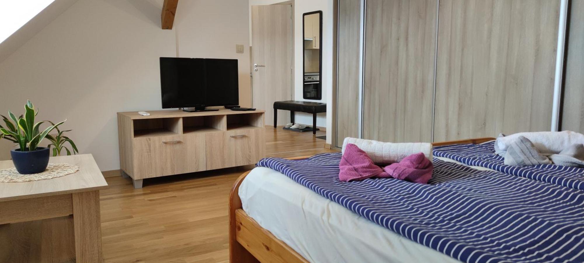 Fabi 2 Apartment Heviz Bagian luar foto